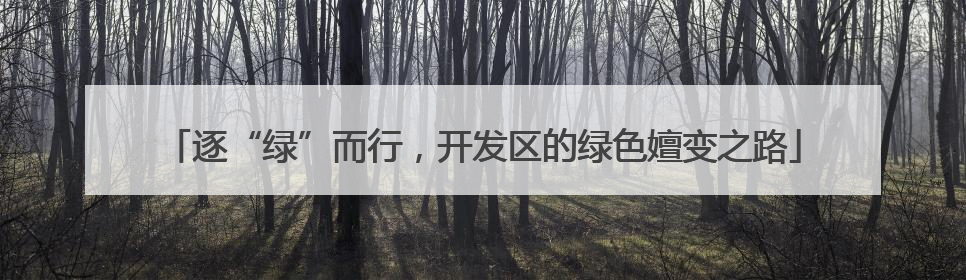 逐“绿”而行，开发区的绿色嬗变之路