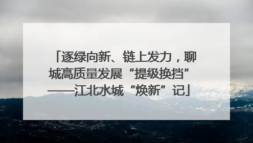 逐绿向新、链上发力，聊城高质量发展“提级换挡”——江北水城“焕新”记