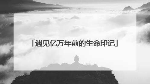 遇见亿万年前的生命印记