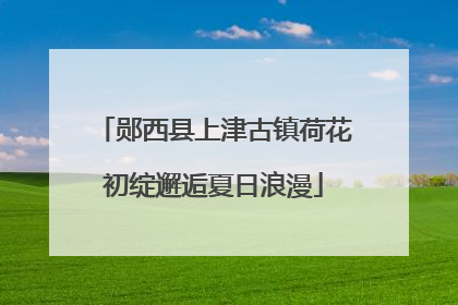 郧西县上津古镇荷花初绽邂逅夏日浪漫