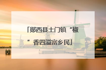 郧西县土门镇“椒”香四溢富乡民