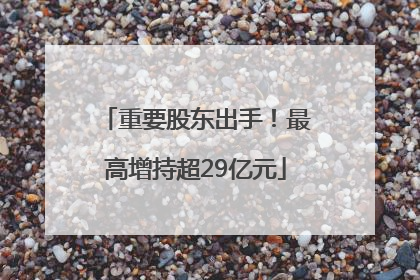 重要股东出手！最高增持超29亿元