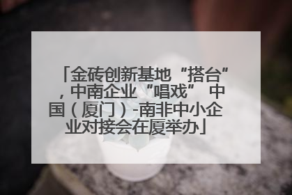 金砖创新基地“搭台”，中南企业“唱戏” 中国（厦门）-南非中小企业对接会在厦举办