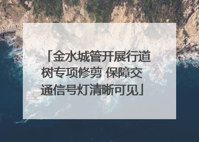 金水城管开展行道树专项修剪 保障交通信号灯清晰可见