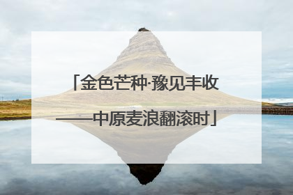 金色芒种·豫见丰收——中原麦浪翻滚时