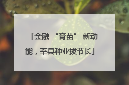 金融 “育苗” 新动能，莘县种业拔节长
