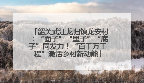 韶关武江龙归镇龙安村：“面子”“里子”“底子”同发力！“百千万工程”激活乡村新动能