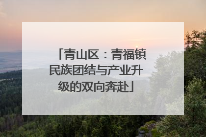 青山区：青福镇民族团结与产业升级的双向奔赴