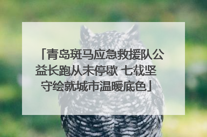 青岛斑马应急救援队公益长跑从未停歇 七载坚守绘就城市温暖底色