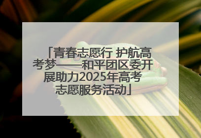青春志愿行 护航高考梦——和平团区委开展助力2025年高考志愿服务活动