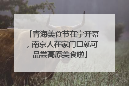 青海美食节在宁开幕，南京人在家门口就可品尝高原美食啦