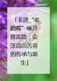 非遗“老鹳嘴”啄开致富路：会泽高山苦荞的传承与新生