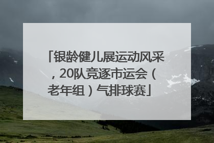 银龄健儿展运动风采，20队竞逐市运会（老年组）气排球赛