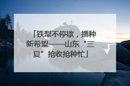 铁犁不停歇，播种新希望——山东“三夏”抢收抢种忙