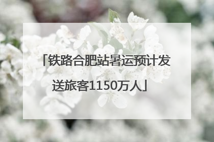 铁路合肥站暑运预计发送旅客1150万人