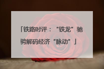 铁路时评：“铁龙”驰骋解码经济“脉动”