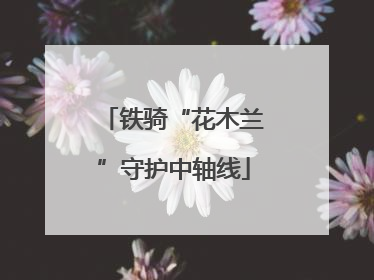 铁骑“花木兰”守护中轴线