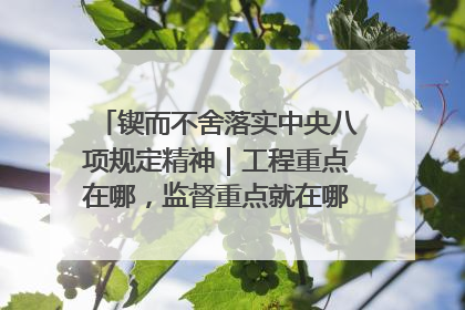 锲而不舍落实中央八项规定精神｜工程重点在哪，监督重点就在哪——广西深化政治监督护航平陆运河建设