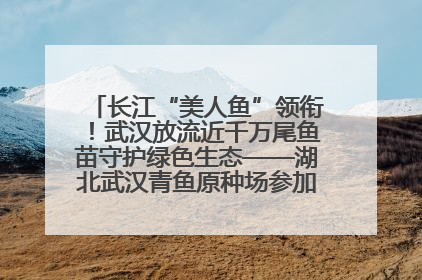 长江“美人鱼”领衔！武汉放流近千万尾鱼苗守护绿色生态——湖北武汉青鱼原种场参加2025年“全国放鱼日”增殖放流活动