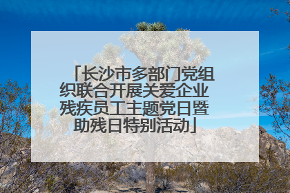 长沙市多部门党组织联合开展关爱企业残疾员工主题党日暨助残日特别活动