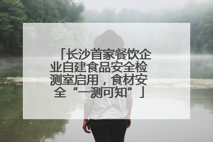 长沙首家餐饮企业自建食品安全检测室启用，食材安全“一测可知”