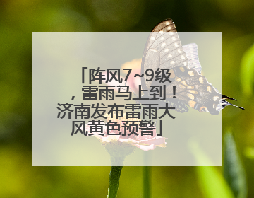 阵风7~9级，雷雨马上到！济南发布雷雨大风黄色预警