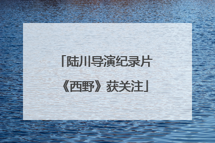 陆川导演纪录片《西野》获关注