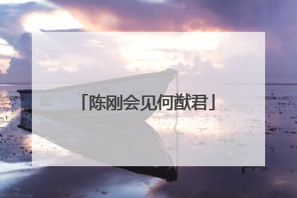 陈刚会见何猷君