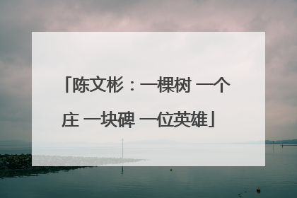 陈文彬：一棵树 一个庄 一块碑 一位英雄
