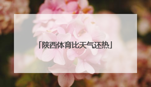 陕西体育比天气还热