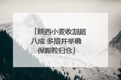 陕西小麦收割超八成 多措并举确保颗粒归仓