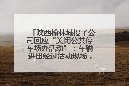 陕西榆林城投子公司回应“关闭公共停车场办活动”：车辆进出经过活动现场，为安全临时关闭