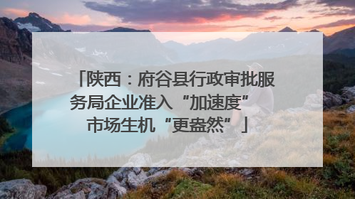 陕西：府谷县行政审批服务局企业准入“加速度” 市场生机“更盎然”