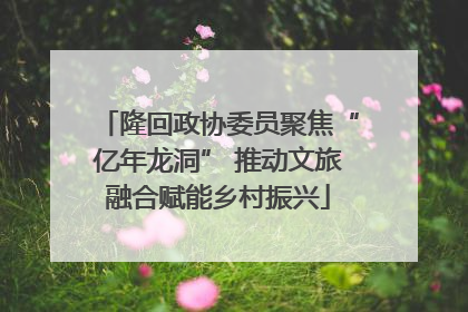 隆回政协委员聚焦“亿年龙洞” 推动文旅融合赋能乡村振兴
