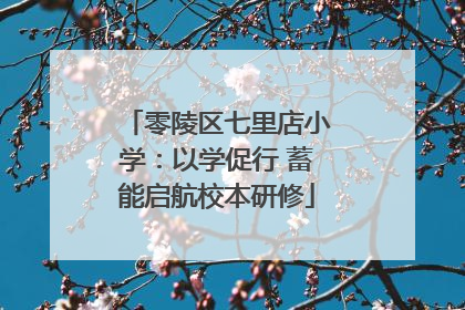 零陵区七里店小学：以学促行 蓄能启航校本研修