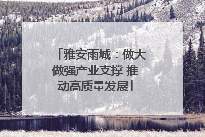 雅安雨城：做大做强产业支撑 推动高质量发展