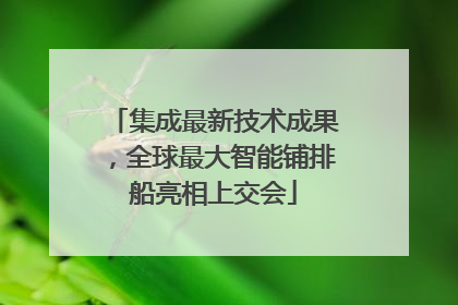 集成最新技术成果，全球最大智能铺排船亮相上交会