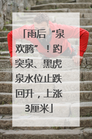 雨后“泉欢腾”！趵突泉、黑虎泉水位止跌回升，上涨3厘米