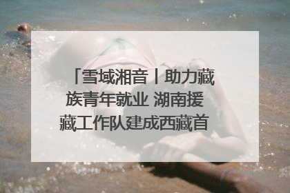 雪域湘音丨助力藏族青年就业 湖南援藏工作队建成西藏首个清洁能源装备园