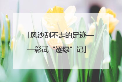 风沙刮不走的足迹——彰武“逐绿”记