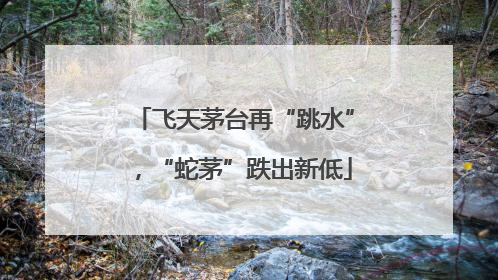 飞天茅台再“跳水”，“蛇茅”跌出新低