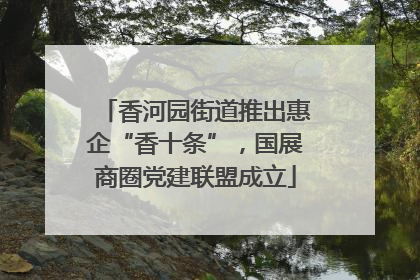 香河园街道推出惠企“香十条”，国展商圈党建联盟成立