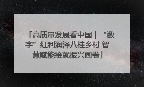 高质量发展看中国｜“数字”红利润泽八桂乡村 智慧赋能绘就振兴画卷
