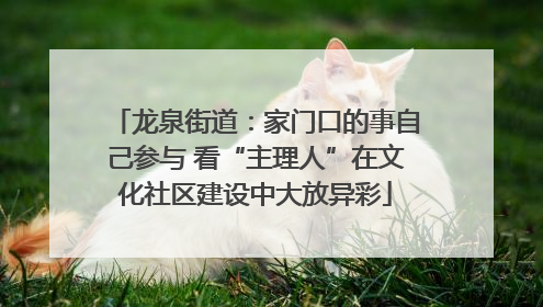 龙泉街道：家门口的事自己参与 看“主理人”在文化社区建设中大放异彩