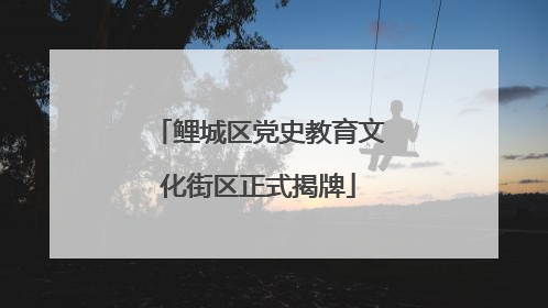 鲤城区党史教育文化街区正式揭牌