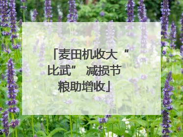 麦田机收大“比武” 减损节粮助增收