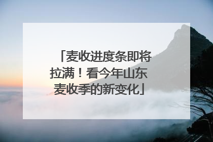 麦收进度条即将拉满！看今年山东麦收季的新变化