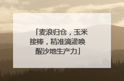 麦浪归仓，玉米接棒，精准滴灌唤醒沙地生产力
