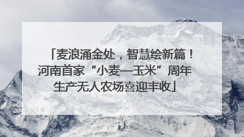 麦浪涌金处，智慧绘新篇！河南首家“小麦—玉米”周年生产无人农场喜迎丰收