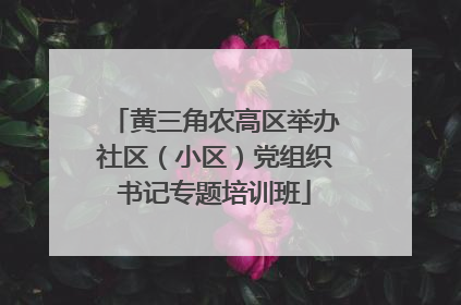 黄三角农高区举办社区（小区）党组织书记专题培训班